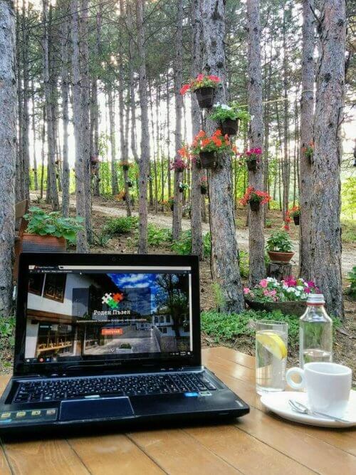 Благодарим Ви, че се включихте в избора на следващ Роден Пъзел!